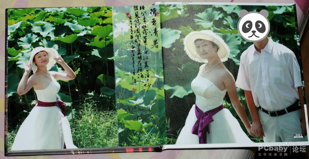 荷塘月色，哈哈，只能想想
