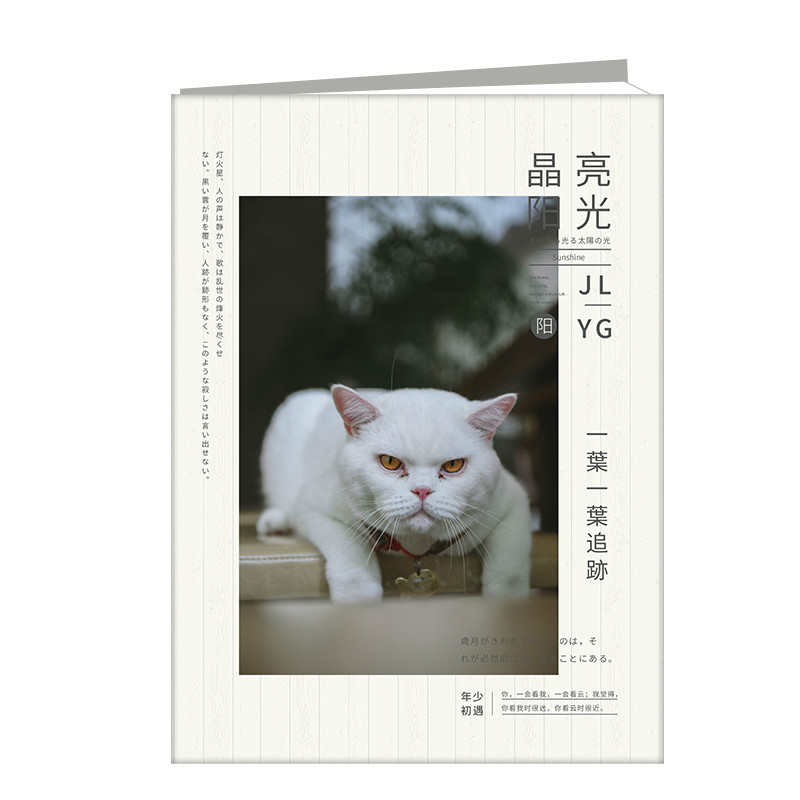 晶亮陽光